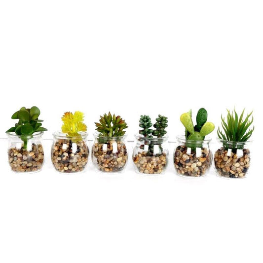 Set Of 6 Mini Artificial Succulent Cactus Cacti Plants In Glass Pot With Stones