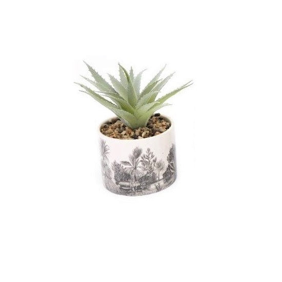Artificial Succulent Plants In Pots Cactus Cacti Plant In Ceramic Pot With Stons