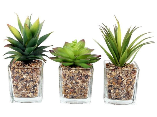 Set Of 3 Artificial Succulent Cactus Cacti Plants In Glass Cup With Stones 