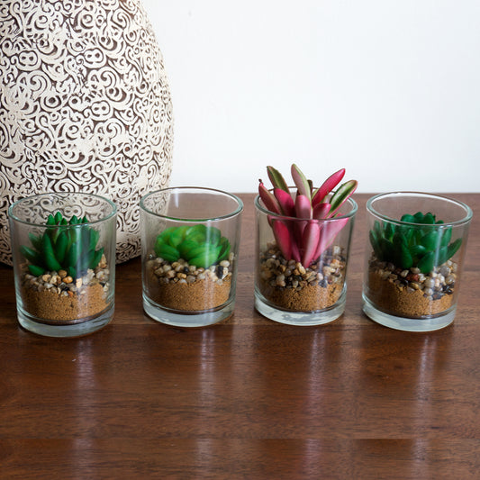 Small Artificial Succulent Cactus Cacti Plants In Glass Pots With Stones