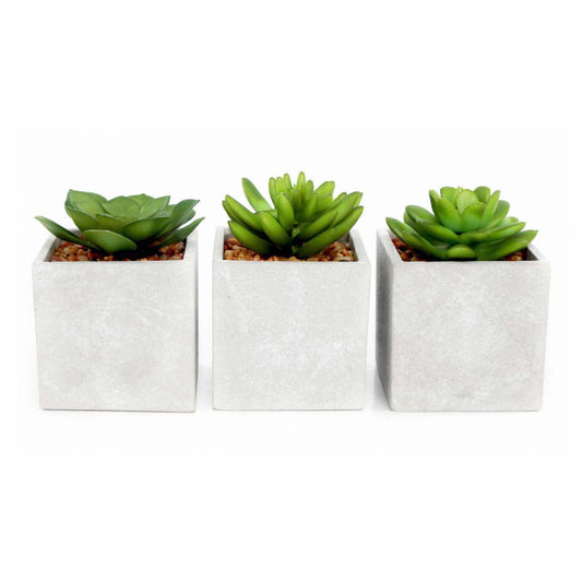 Artificial Succulent Cactus Plant In Cement Pot