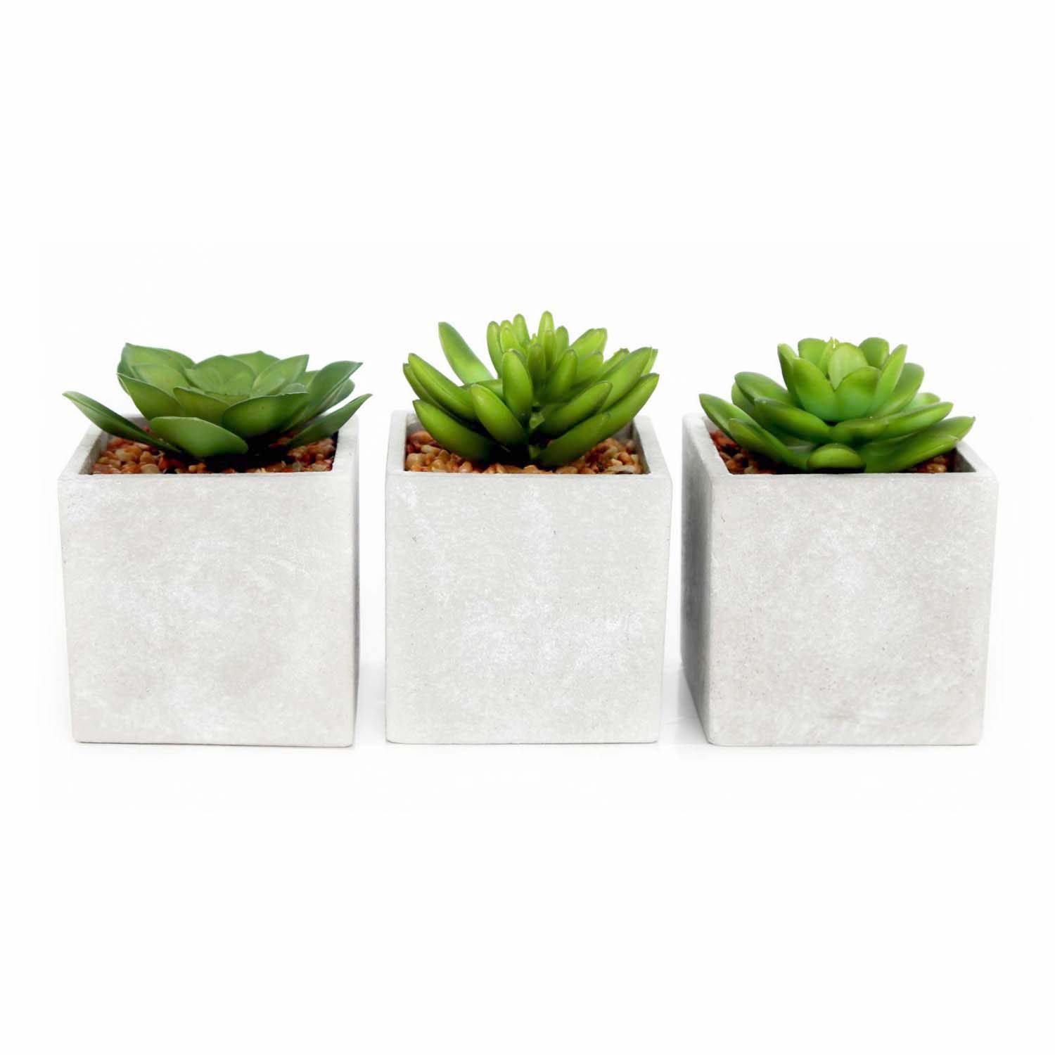 Artificial Succulent Cactus Plant In Cement Pot