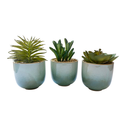 Artificial Succulent Plants In Pots Set Of 3