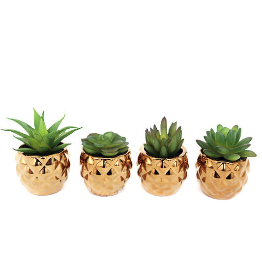 Artificial Succulent Plants In Gold Colour Ceramic Pots Set Of 4