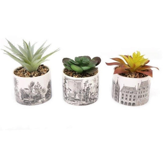 Artificial Succulent Plants In Pots Cactus Cacti Plant In Ceramic Pot With Stons