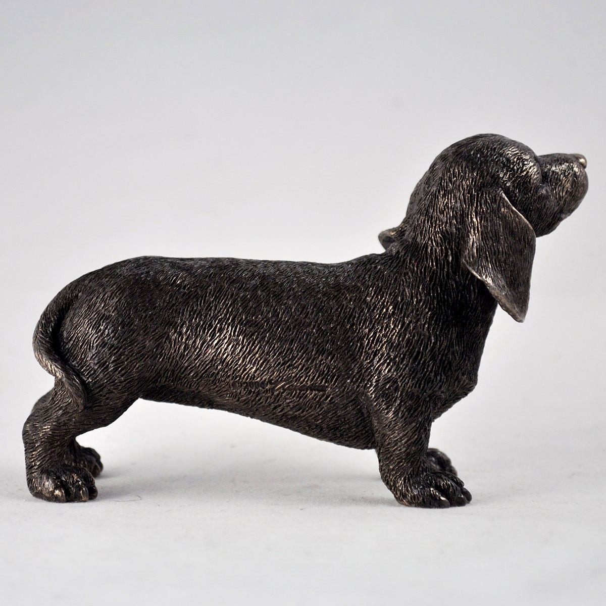 Dachshund Dog Cold Cast Bronze Sculpture Sculpture