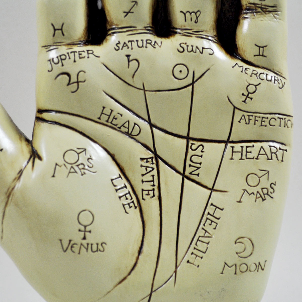 Palmistry Hand Sculpture For The Spiritual Minded Household