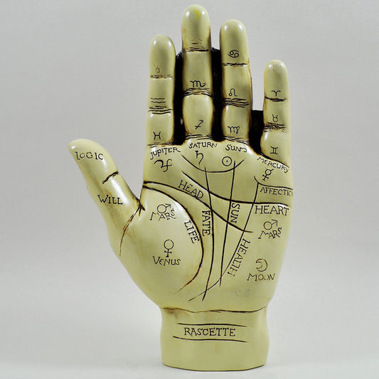 Palmistry Hand Sculpture For The Spiritual Minded Household