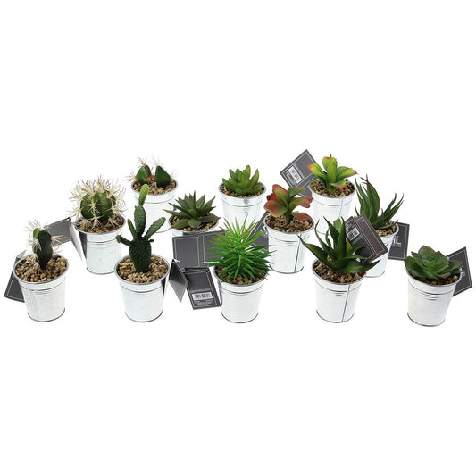 Set Of 12 Small Artificial Succulent Cactus Cacti Plants In Tin Pots With Stones