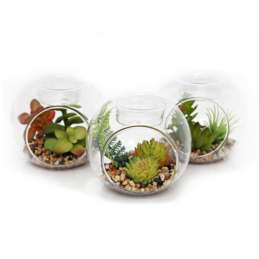 Set Of 3 Artificial Succulent Cactus Plants In Glass Tealight Candle Holders