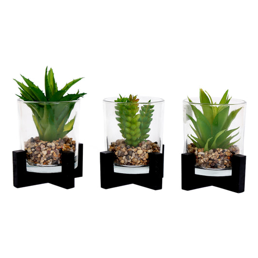 Set Of 3 Artificial Succulent Jars With Stands