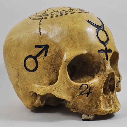 Gothic Witchcraft Skull Ornament